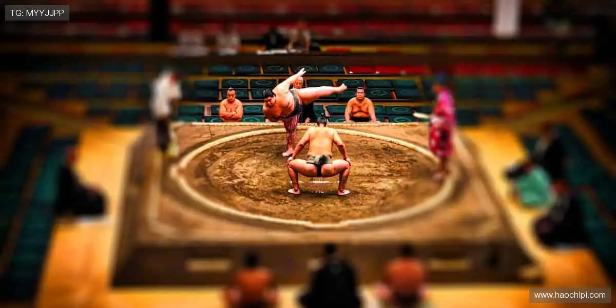 牛牛视讯直播厅:实时直播发牌过程,看牌抢庄公平竞技